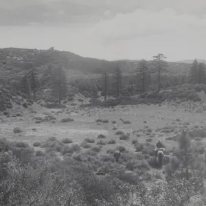 Mission Pine Basin between San Rafael Mountain and Big Pine mountain