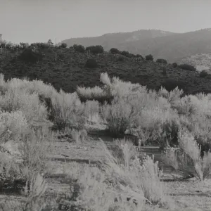 Santa Barbara Canyon