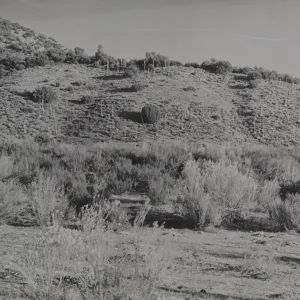 Santa Barbara Canyon