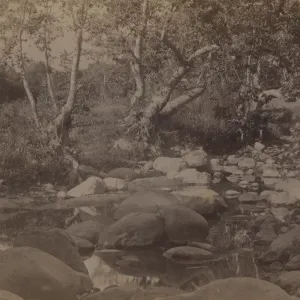 Stream through Oak Park