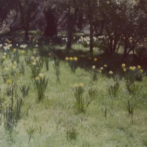 Historic photo of Hay Hill
