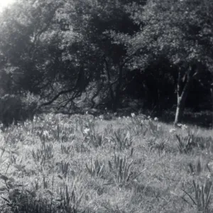 Historic photo of Hay Hill