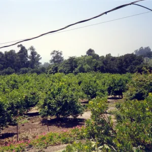 Historic photo of Hay Hill