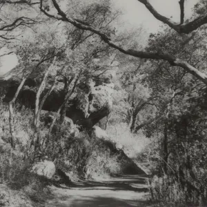 Canyon trail