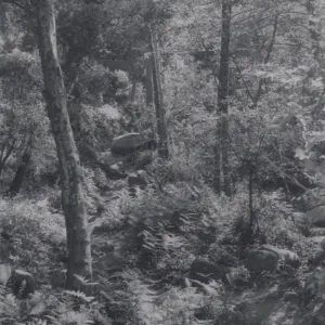 Mission Canyon, viewed from the top of Mission Dam, 1955