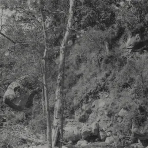 Bull's Head Rock, Mission Creek above Mission Dam, 1952