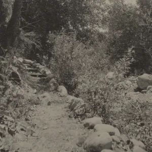 SBBG trail in Mission Canyon