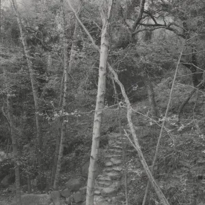steps to Mission Creek, below Mission Dam
