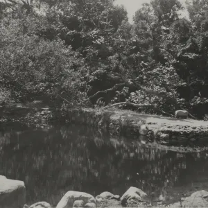 pool above the Mission Dam, circa 1920's