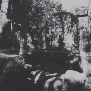 Mission Creek below Mission Dam