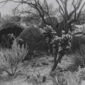 Desert Section, 1958