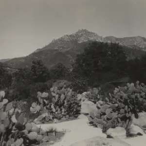 Desert Section with Santa Ynez Mountains in background