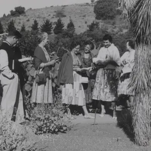 Institute of Nature Studies, Desert Section, 1950's