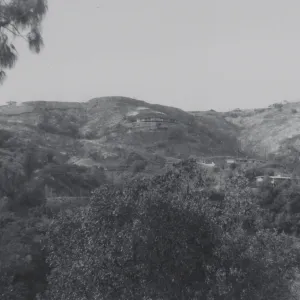 west side of Mission Canyon (slope above Tunnel Road) after the Coyote Fire