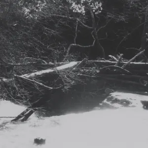 Flood debris collected on Mission Dam, 1969