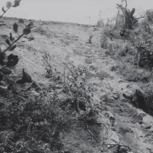 Mudslide below Tunnel Road, 1969