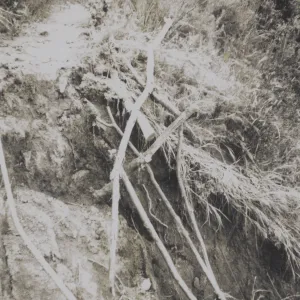 Mudslide along Tunnel Road, 1969