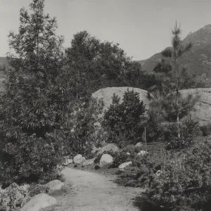 southern approach of old Island Trail, 1930's