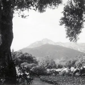 view of La Cumbre Peak from Garden oak