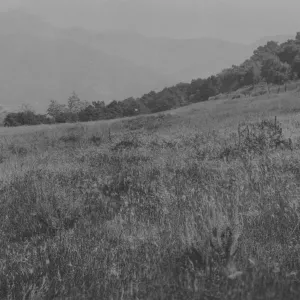 location of present Garden entrance, view of La Cumbre and Cathedral Peak, 1920's