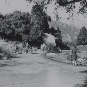 lower Meadow, 1940's