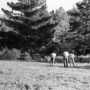 Grounds staff in the Meadow