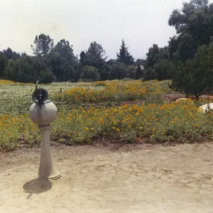 sundial, upper Meadow
