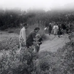 Sunday visitors in the Meadow, 1952