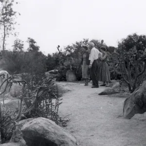 Sunday visitors in the Desert Section, 1952