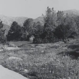 lower Meadow, 1969