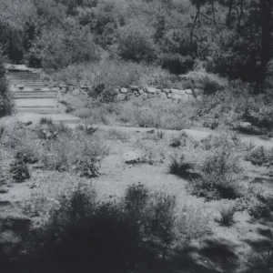 Meadow View garden
