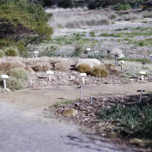Grass Display