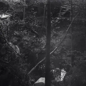 Mission Creek pool below Mission Dam