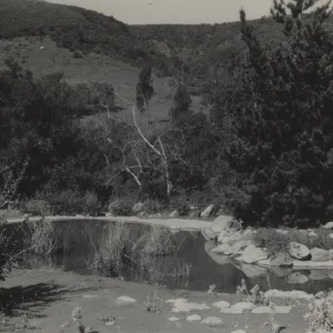 Lake, upper Meadow
