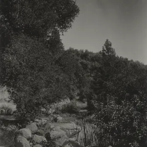 Meadow pool