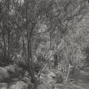 Canyon Trail