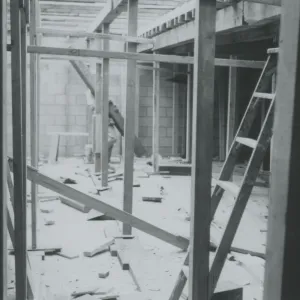 Herbarium construction