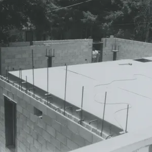 Herbarium construction from library 