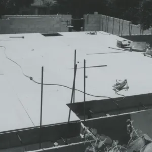 Herbarium construction