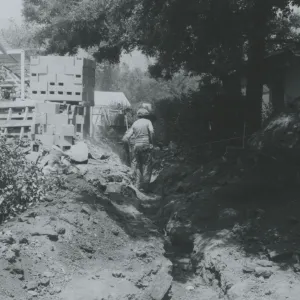 Herbarium construction