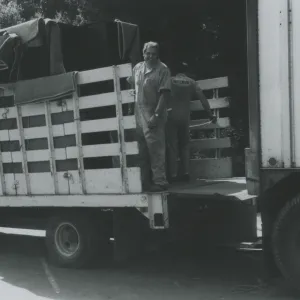 herbarium cabinet delivery truck, herbarium construction
