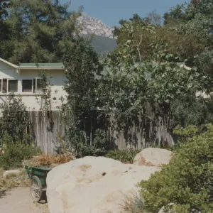 south side of Cottage