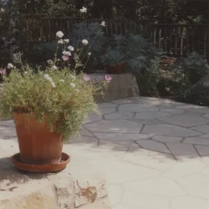 Home Demonstration Garden