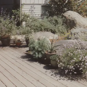 Home Demonstration Garden