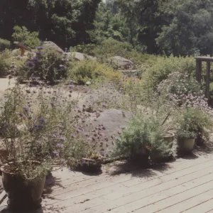 Home Demonstration Garden