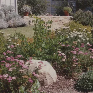 Home Demonstration Garden
