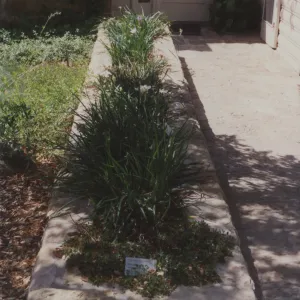 Home Demonstration Garden