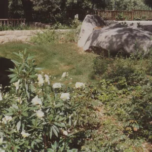 Home Demonstration Garden