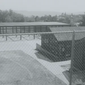New Horticulture Unit, lath houses and shade structure