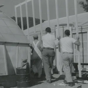 Lath House construction